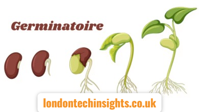 Understanding Germinatoire: The Science Behind Seed Germination Chambers