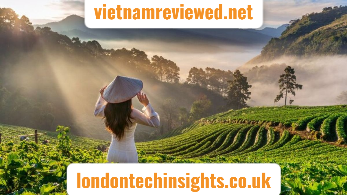 vietnamreviewed-net-your-ultimate-vietnam-travel-guide