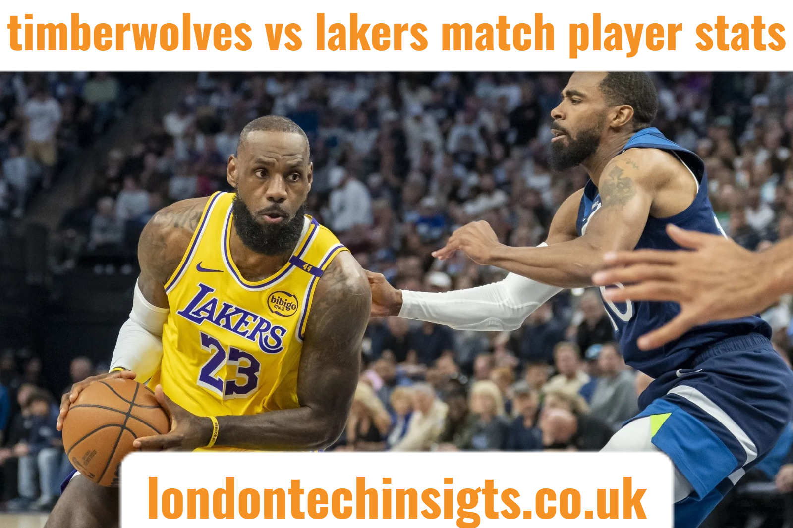 Timberwolves vs Lakers match player stats