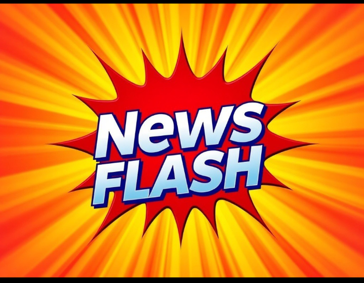 Newsflashburst com