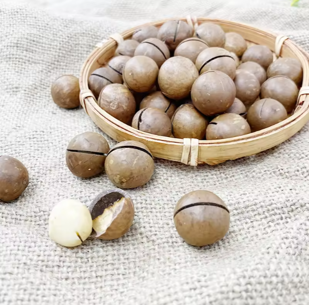 Bulk Macadamia Nuts